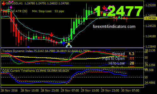 ブラックキングFXトレーディングシステム ブラックキングFXトレーディングシステム