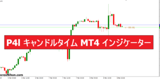 P4l キャンドルタイム MT4 インジケーター